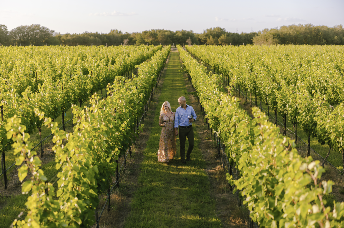 Austin Texas Vineyards